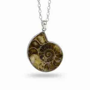 Ammonite Necklace