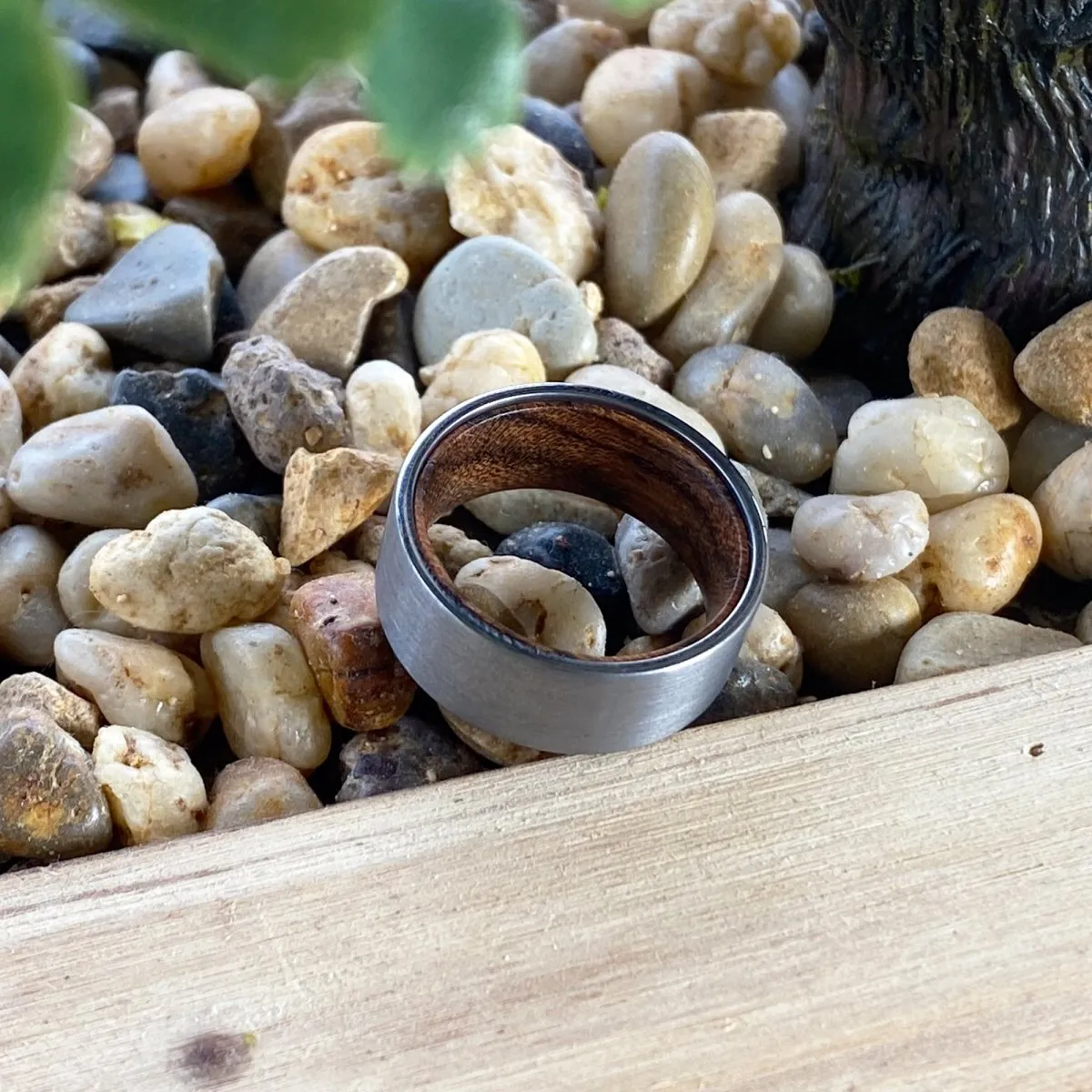 CANOLI | Bocote Wood, Silver Tungsten Ring, Brushed, Flat