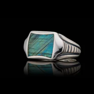 Men's Sleek Labradorite Ring - Ring 8 LAB