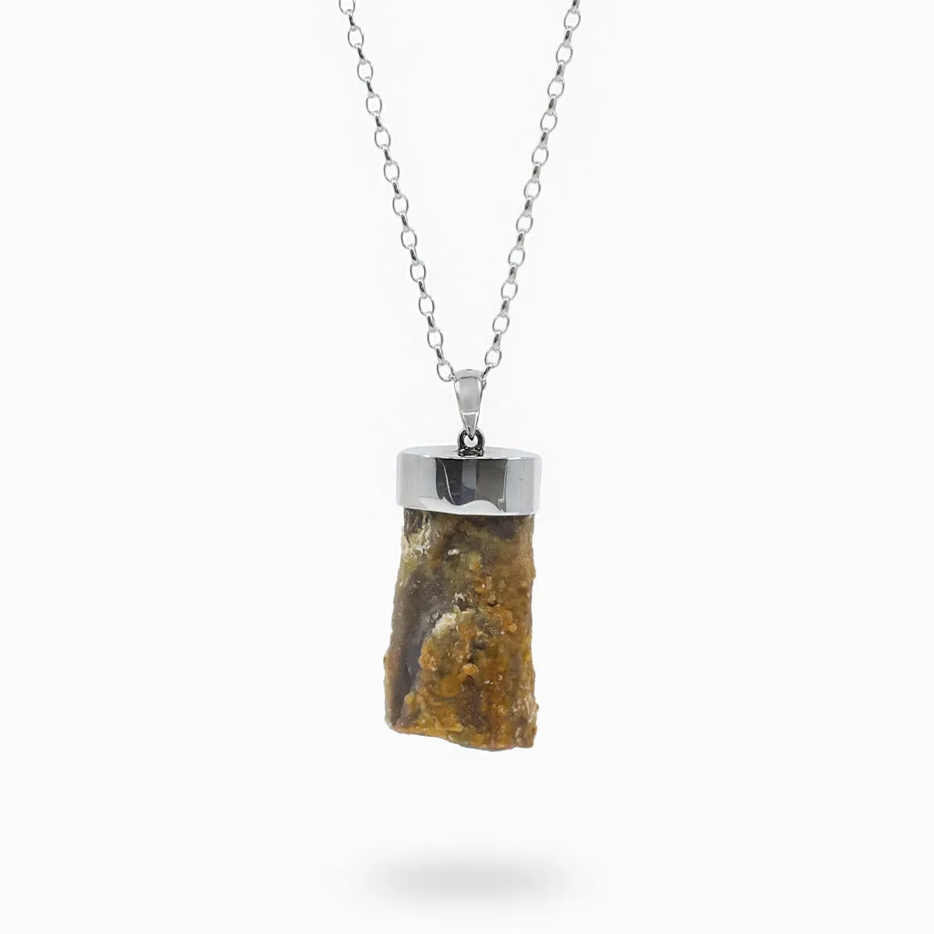 Petrified Wood Necklace