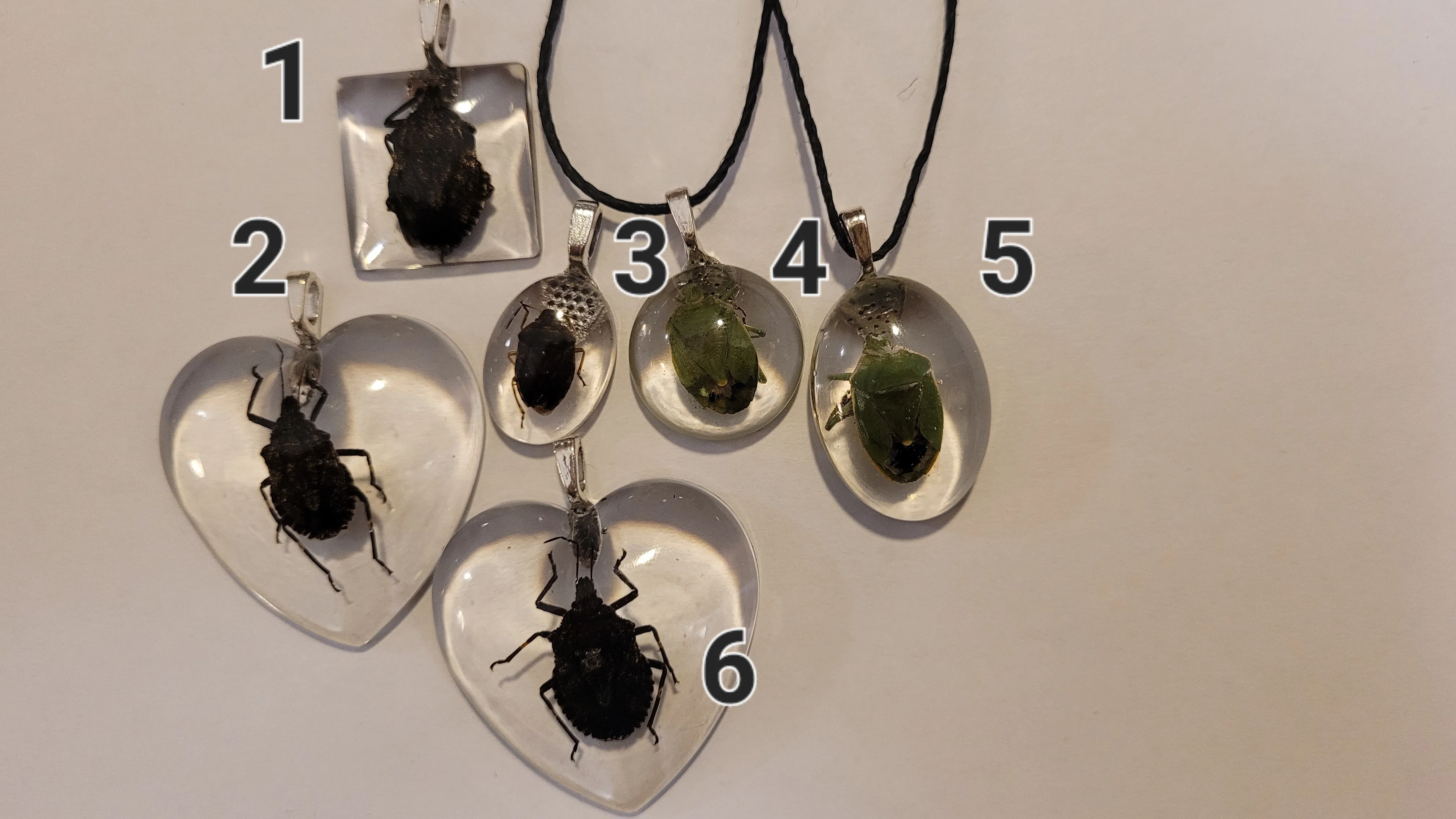 Resin Pendants Insects Stink Bugs