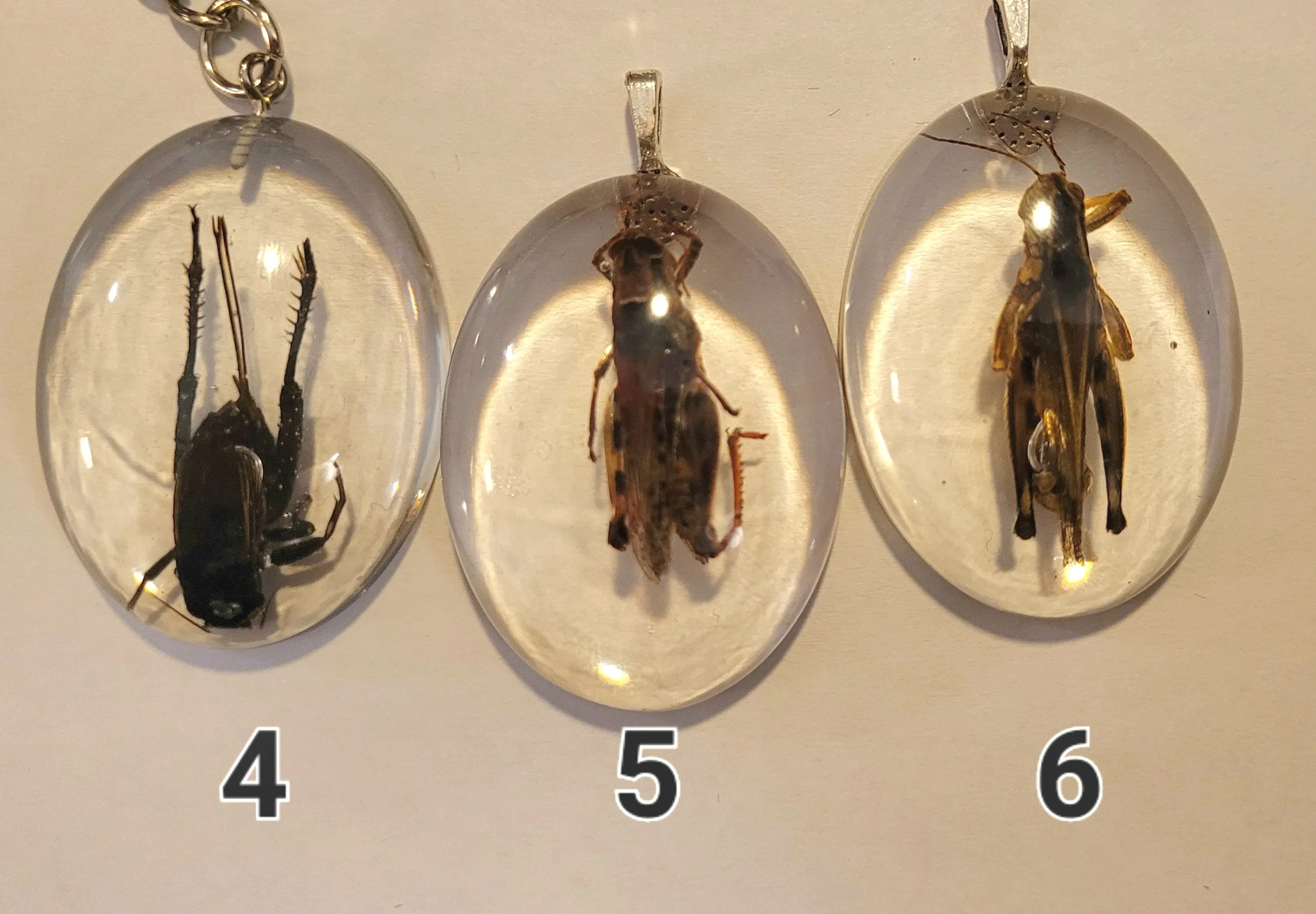 Resin Pendants Misc Insects