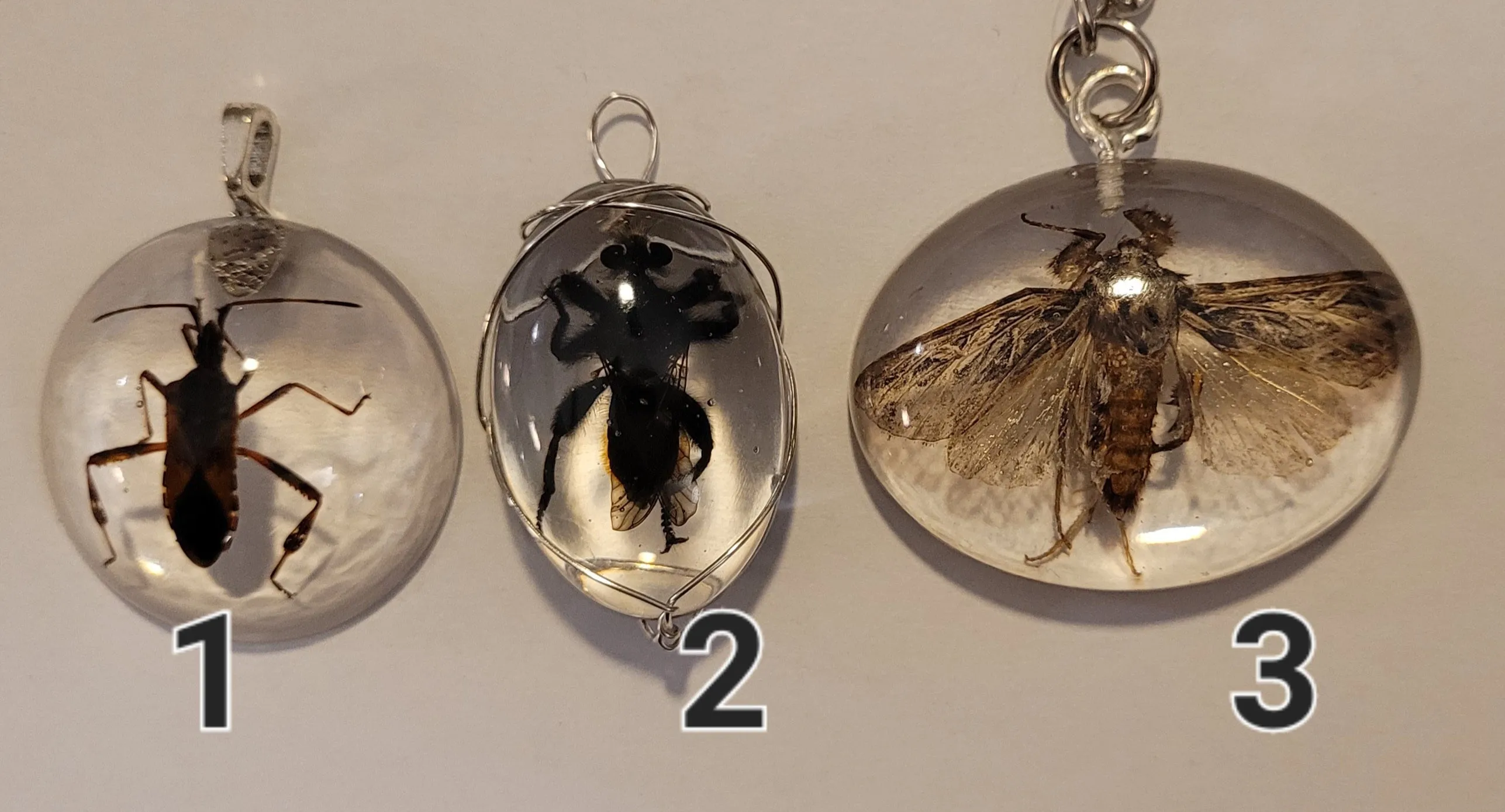 Resin Pendants Misc Insects