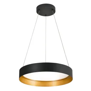 Reveal 20 in. LED Pendant Light Black & Gold Finish