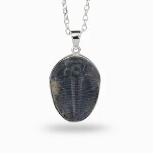 Trilobite Necklace